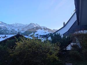 Skirennen von der Terrasse mitverfolgen