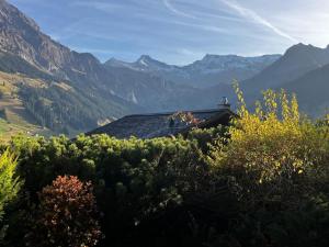 Skirennen von der Terrasse mitverfolgen
