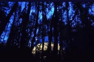 Domo el avellano inmerso en el bosque con tinaja incluida