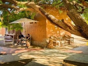 Hostal y Cabañas Renta House San Pedro