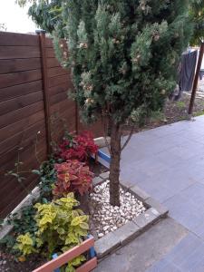 Appartements Petit maison avec jardin : photos des chambres