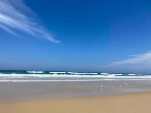 Stylish 1BR Apartment in Surfers, Pool, Gym