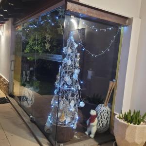 CasaT5, Férias, Piscina Privativa. Águeda, Aveiro