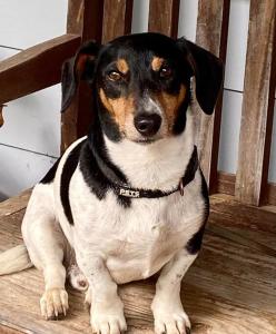 The Lancefield cottage - relax, revive and renew