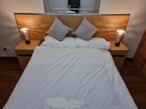 1 bedroom flat in Central London zone 1