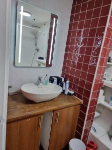 1 bedroom flat in Central London zone 1