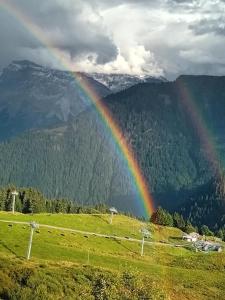 Ski1600 - GrandMassif