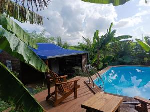 Le Paradis des Colibris Gîte créole avec piscine table dhôtes et nature à Anse Bertrand - Hotel 3 stelle a Anse-Bertrand