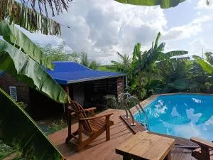 Le paradis des colibris - Mahaudière