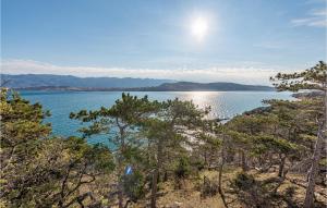 Nice Apartment In Novalja With Kitchen