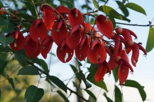 Hotel Restaurant Paraiso