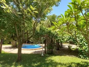 Hotel Restaurant Paraiso - La Colmena