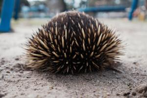 Roseneath Holiday Park