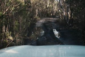 Roseneath Holiday Park