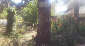 Chalet zona del bosque