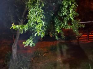 Casa turística Valeria del Mar