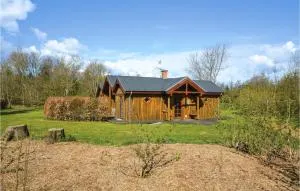 Four-Bedroom Holiday Home In Spottrup - Knud