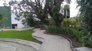 Hc Express - 塔斯科·德·阿拉尔孔