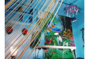 Amami Guest House showa-so