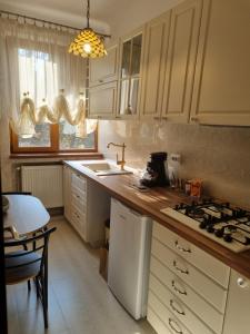 Apartament ultracentral Classic Vibe