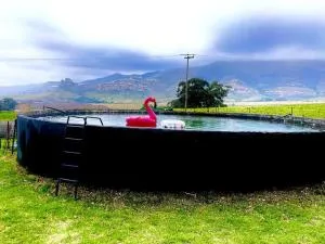 Boschhoek, Eclectic Farm Stay - Kestell