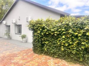 Creekside Guest House Middelburg