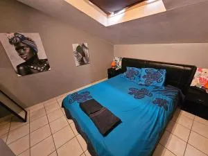 F2en duplex tout équipé arrivée autonome - Yaté