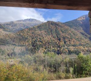 Appartements Le Bois Cosy appartement 4 etoiles 6 personnes, ACCES SKI ALPE D-HUEZ GRAND DOMAINE A 3 K M : photos des chambres