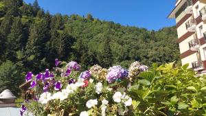 Ridos Thermal Hotel & Spa