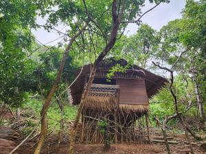 Richcoast Eco-camp Darocotan