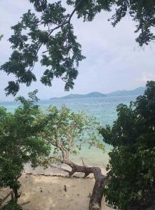 Richcoast Eco-camp Darocotan