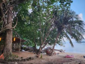 Richcoast Eco-camp Darocotan