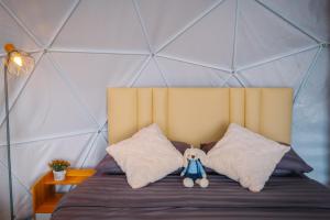 หลงฮักเขาแคมป์ปิ้ง ภูชี้ฟ้า