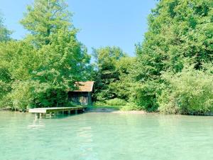 Chalet Attersee - ganzes Ferienhaus, Seeblick, Kamin, Sauna