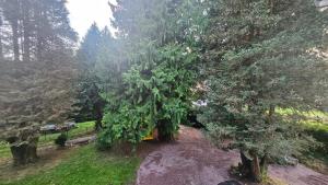 Maisons de vacances Le Pavillon dans le Parc : Maison 2 Chambres