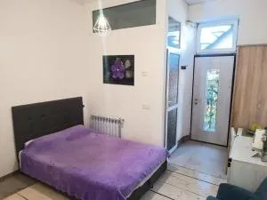 Студия у моря, терасса, отдельный вход - Khlibodarske