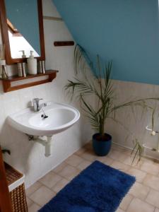 Penzion Hájovna U Dubu