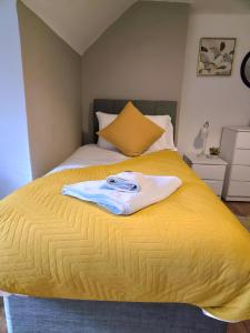 Large Dulwich 3 Bedroom Apartment near Kings College Hospital