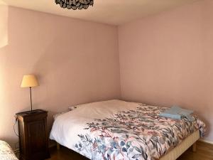 Gîte spacieux 9 personnes - Saint Joseph des Bruyères 1814