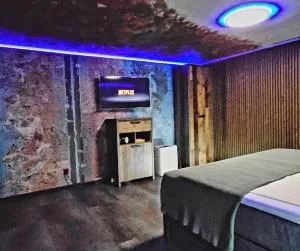 Loft with Cinema & Style near Frankfurt Airport - Langenhain