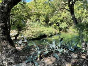 Maisons de vacances Le Domaine de La Tuilerie - Gite de charme en bord de riviere avec piscine : photos des chambres