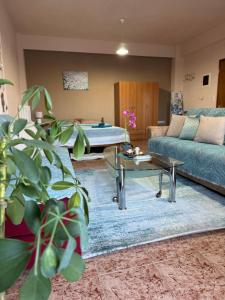 Alexandras Studio pyli