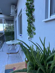Alexandras Studio pyli