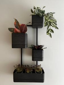 Appartements La Orquidea - sleeps 2 to 4 - 3 : photos des chambres