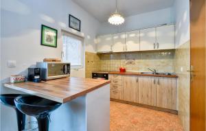 Gorgeous Home In Mirkopolje With Wifi