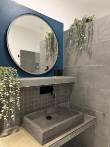 Le Big Stork - Appartement - Centre Historique