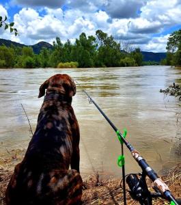 Tiny Trout on Vaal