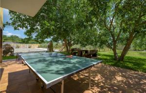 Nice Apartment In Visnjan With Wifi 