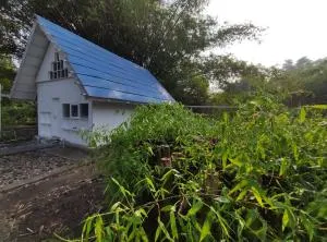 Omah Pralon - Tirto - Cepit