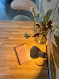 Comfy studio close to Efteling and city center